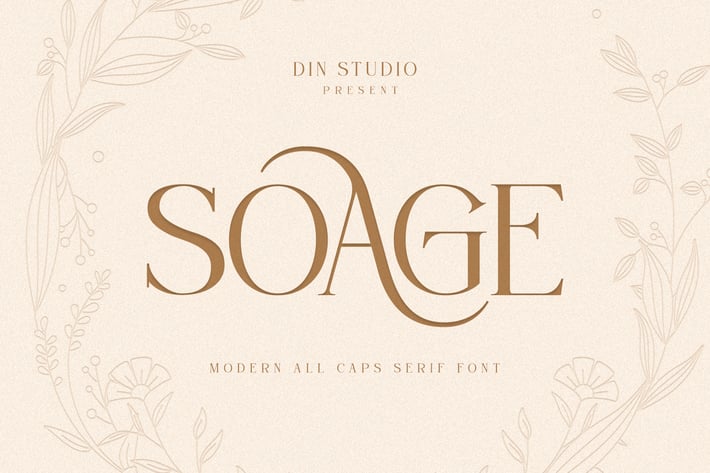 Soage-Modern Sans Serif Font