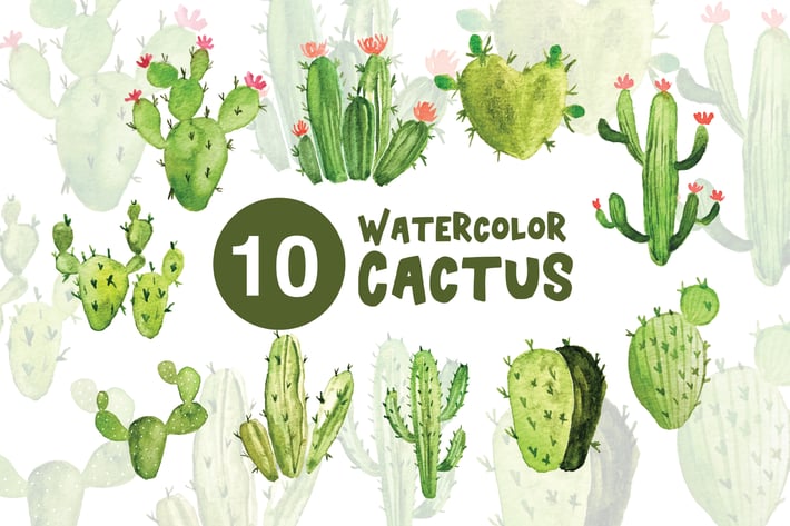 10 Watercolor Cactus Illustrations