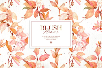 Blush Flowers-  watercolor set