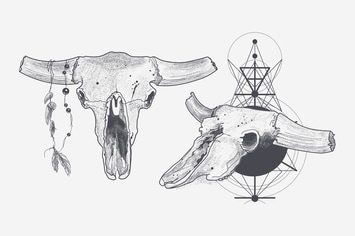 Dotwork animal skull with modern street style attr