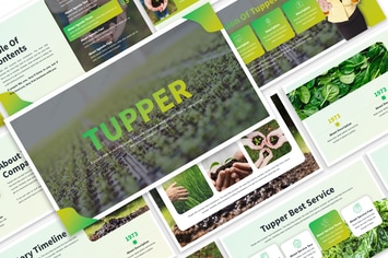 Tupper - Business Template Prensentation