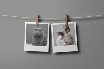 Photos Garland Mockup