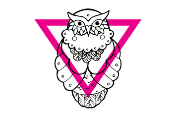 Handdrawn owls
