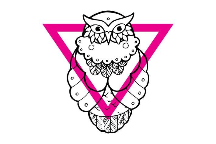 Handdrawn owls