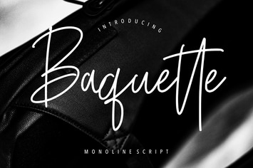 Baquette Monoline Business Font