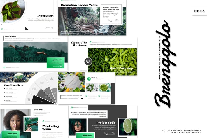 Brenggolo - Powerpoint Template