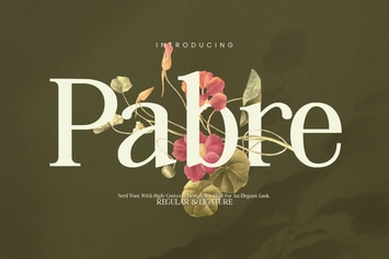 Pabre - Luxury Branding Font