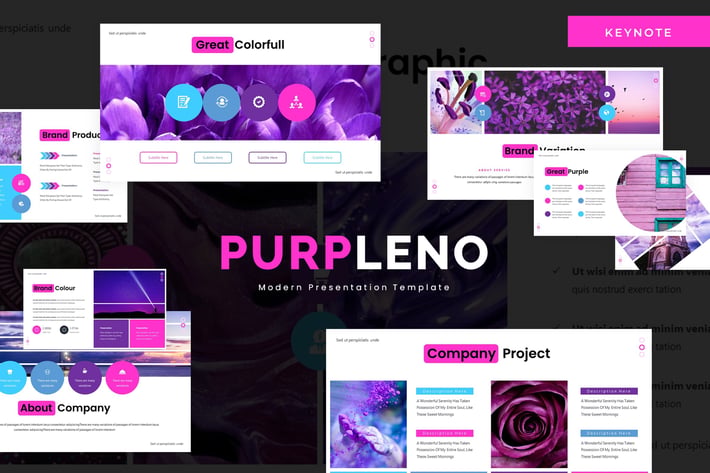 Purpleno - Keynote Template