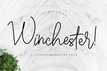 Winchester Signature Business Font