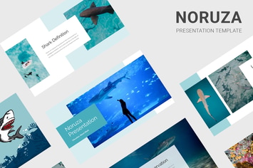 Noruza - Education About Shark Keynote