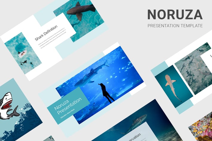 Noruza - Education About Shark Keynote