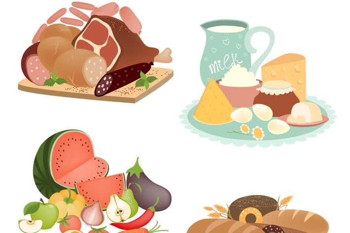 Collection of food items. Vector isolated 