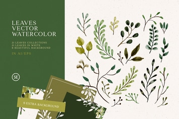 Leaves Vector Watercolor