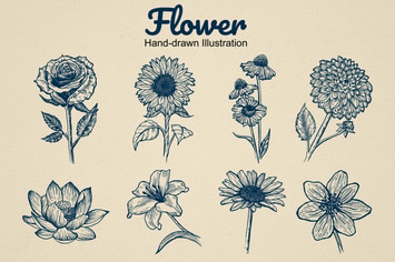 Flower Hand drawn illustration