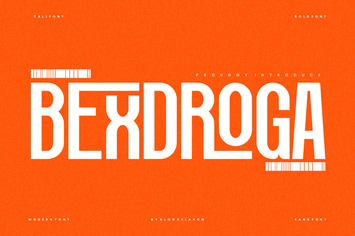 Bexdroga - Modern Sans Font