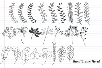 Floral Hand Drawn