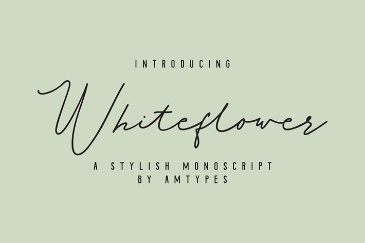 Whiteflower Monoscript