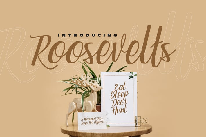 Roosevelts - Display Script Font