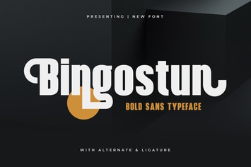 Bingostun - Bold Sans Typeface