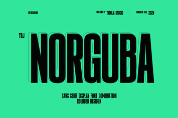 Norguba - Versatile Display Sans Serif Font