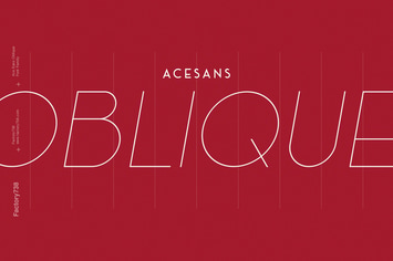 Ace Sans Oblique