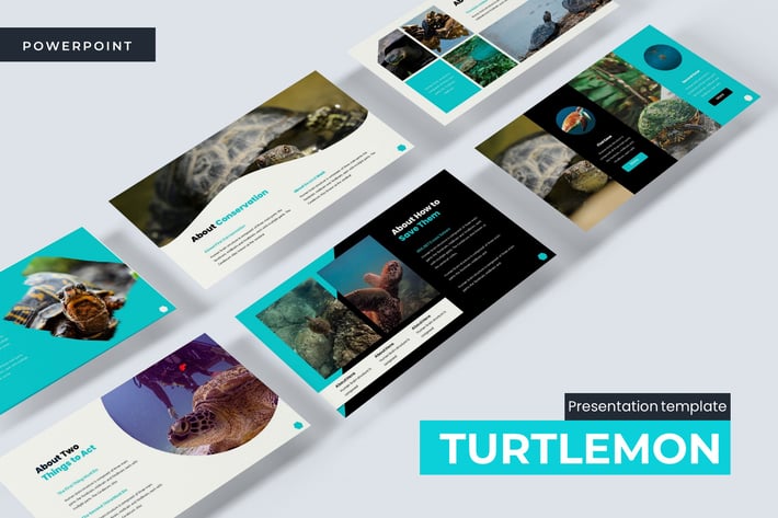 Turtlemon  - Powerpoint Template