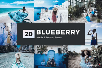 20 Blueberry Lightroom Presets & LUTs
