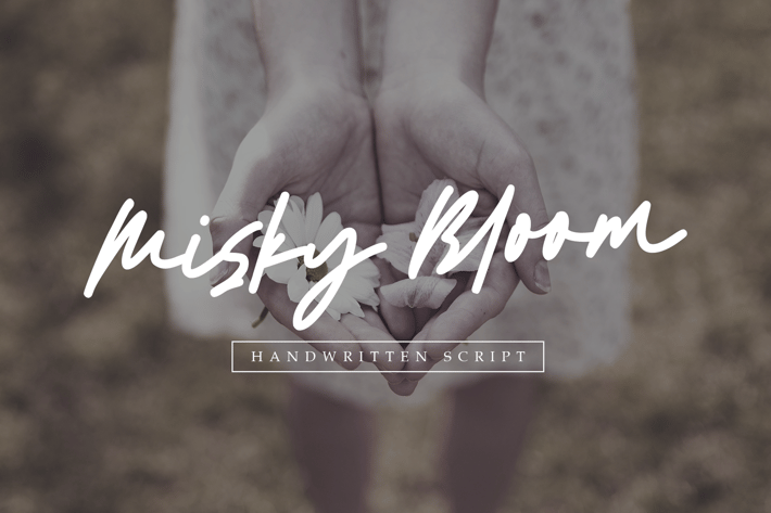 Misky Bloom