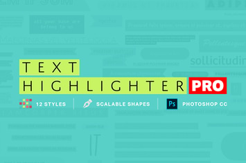 Text Highlighter Pro