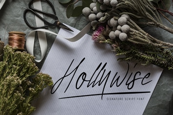 Hollywise - Signature Script Font