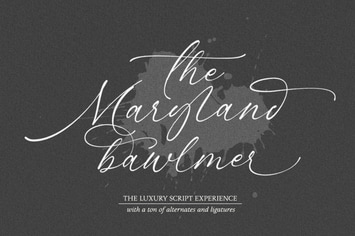 Maryland Bawlmer