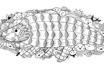 Pangolin Doodle