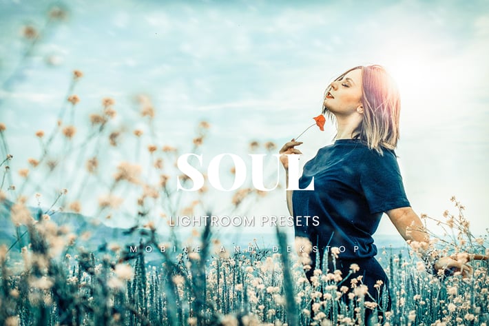 Soul Lightroom Presets Dekstop and Mobile