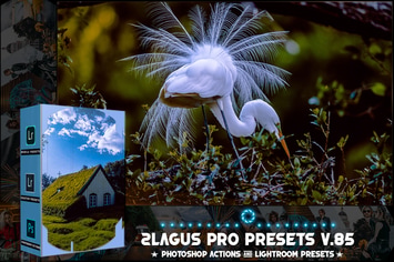  PRO Presets - V 85 - Photoshop & Lightroom