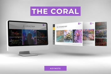 The Corals - Keynote Template