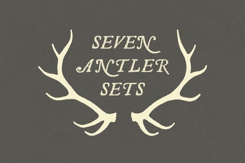 Wildlife Antlers