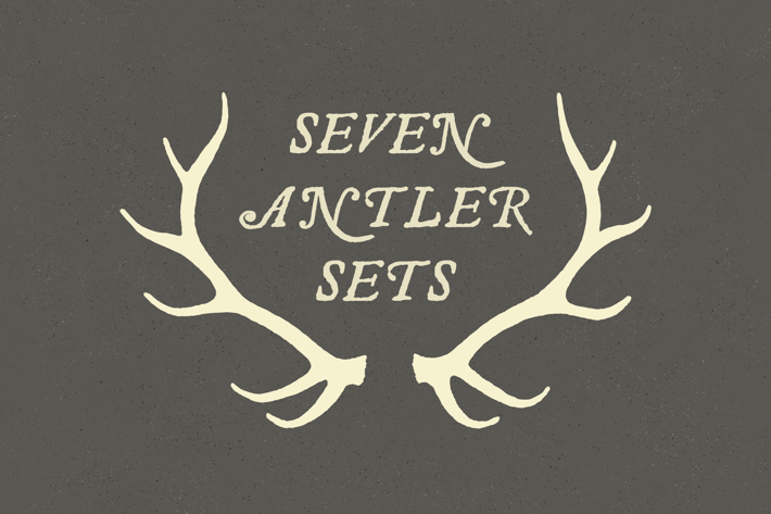 Wildlife Antlers