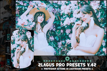 PRO Presets - V 42 - Photoshop & Lightroom
