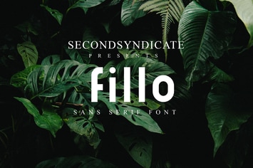 Fillo - Sans Serif Font
