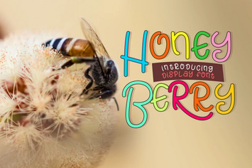 Honey Berry - Playful Font