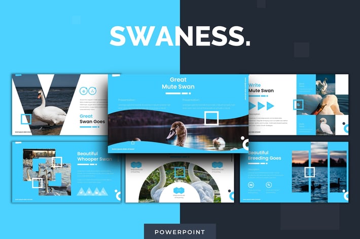 Swaness - Powerpoint Template
