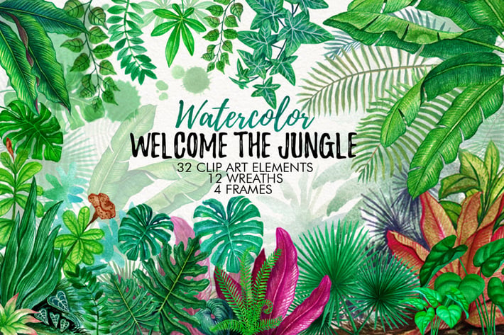 Tropical Leaves in the Jungle