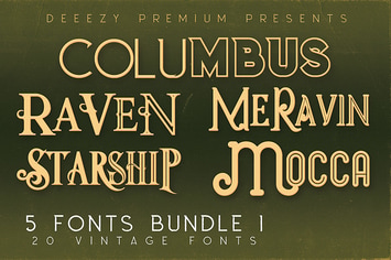 5 Fonts Bundle 1
