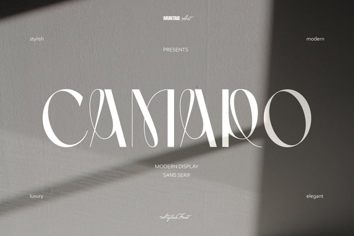 Camaro | Stylish Display