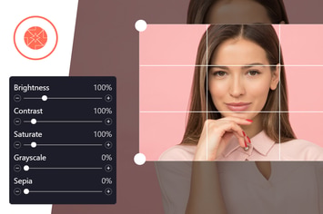 ProVision Image Editor for WordPress / WooCommerce