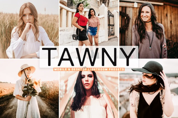Tawny Mobile & Desktop Lightroom Presets