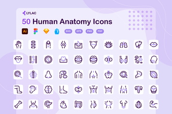 Lylac - Human Anatomy Icons