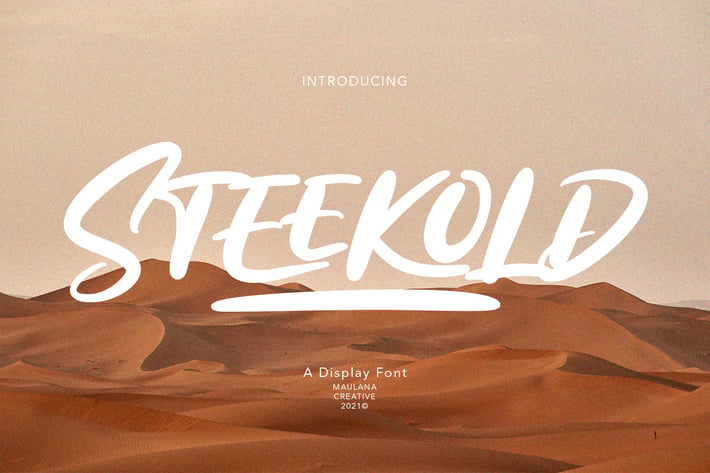 Steekold Display Font