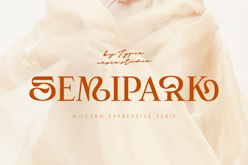 Semipark - Creative and Unique Serif / Logo Font