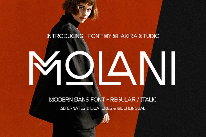 Molani - Modern Sans Font